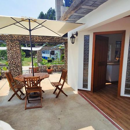 Casa Florestal - Pure Nature Cabins Fatela エクステリア 写真