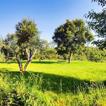 Casa Florestal - Pure Nature Cabins Fatela エクステリア 写真